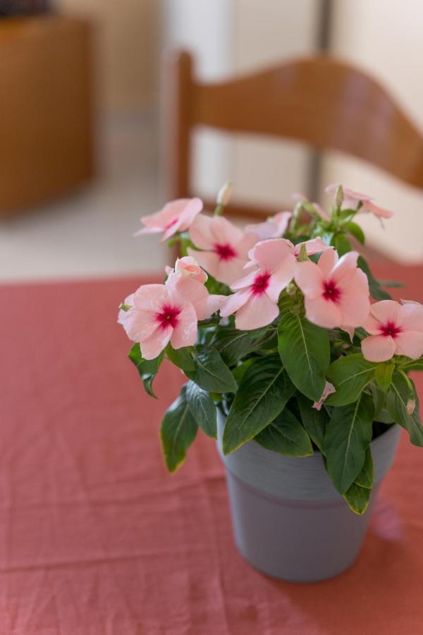 Ammousa Hotel Apartments Ліксурі Екстер'єр фото