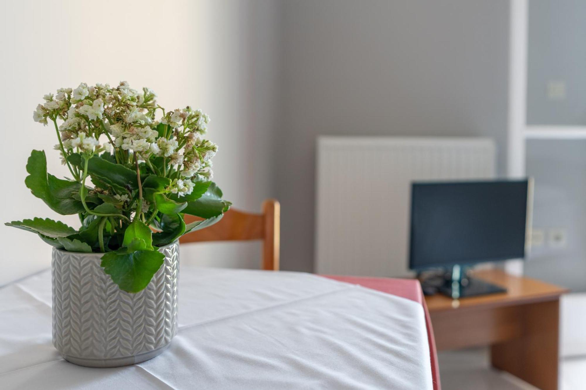Ammousa Hotel Apartments Ліксурі Екстер'єр фото